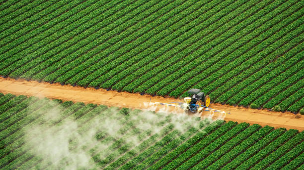 Best Pest Control Treatment  in Riverton, WY